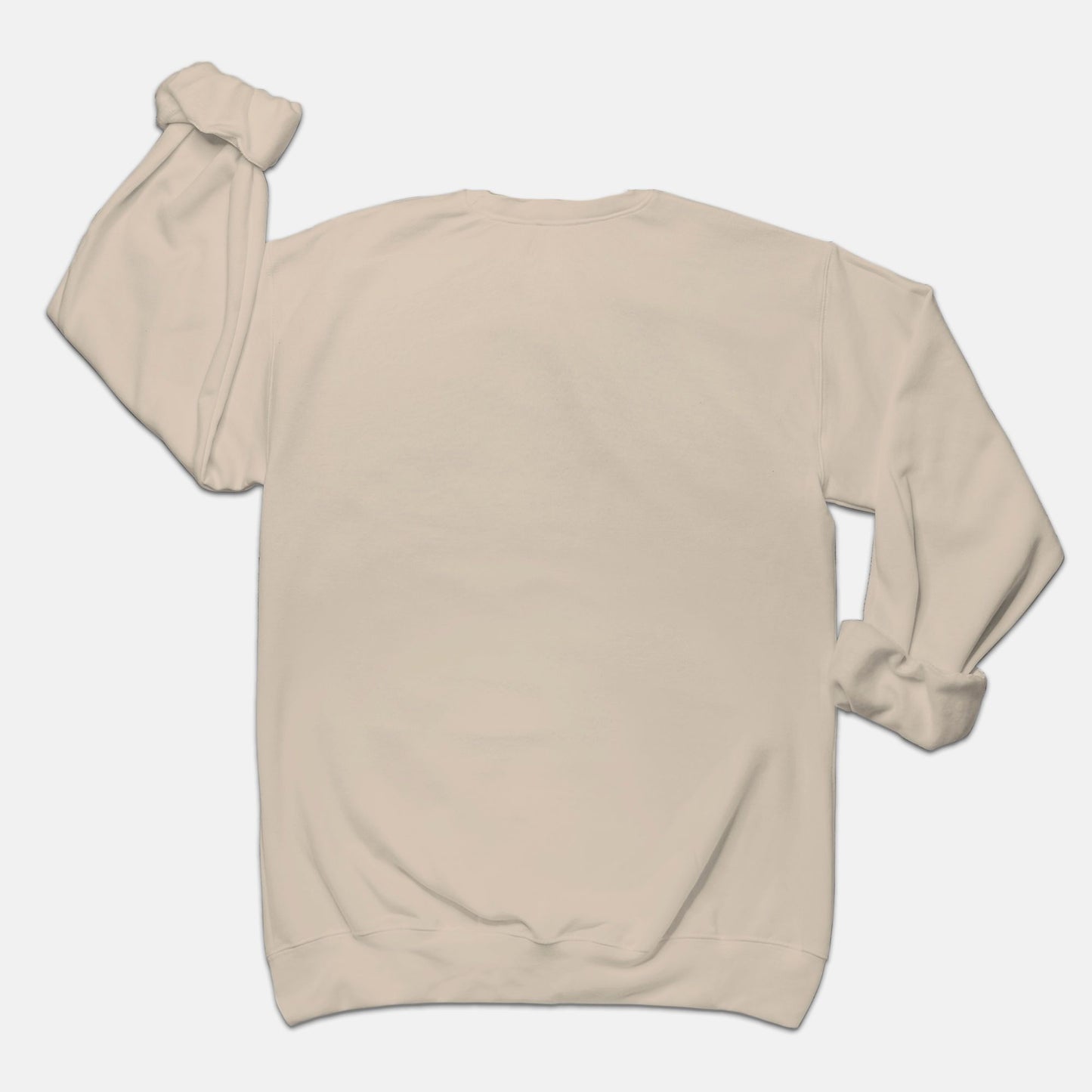 Scrappy 100 Day of School Sweatshirt