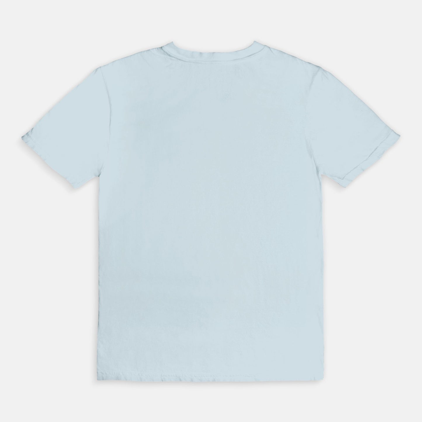 Pre-K Blue Toile Tee