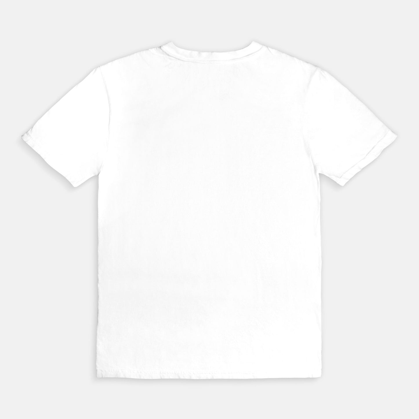 Teacher's Luckiest Charms Tee