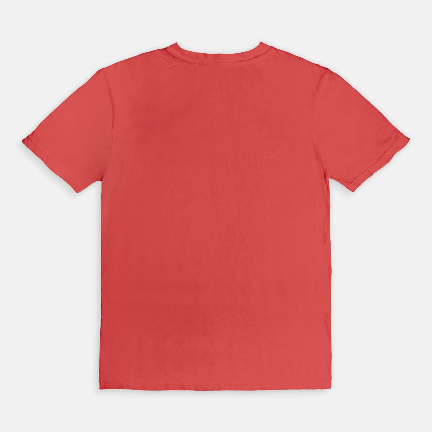 Literacy Books Tee