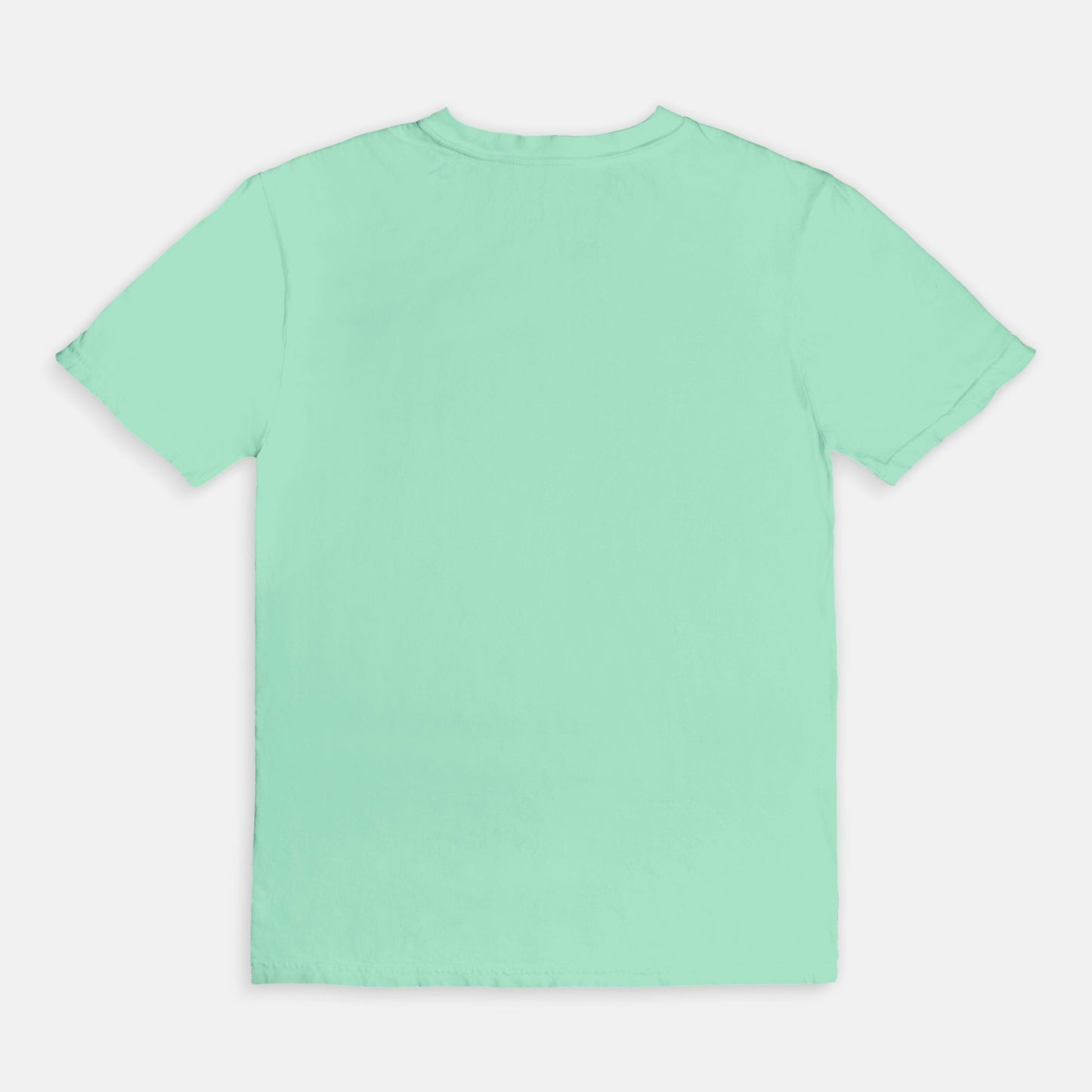 Teacher's Luckiest Charms Tee